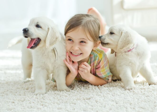 Best Pets For Kids: A Guide To Pet Selection