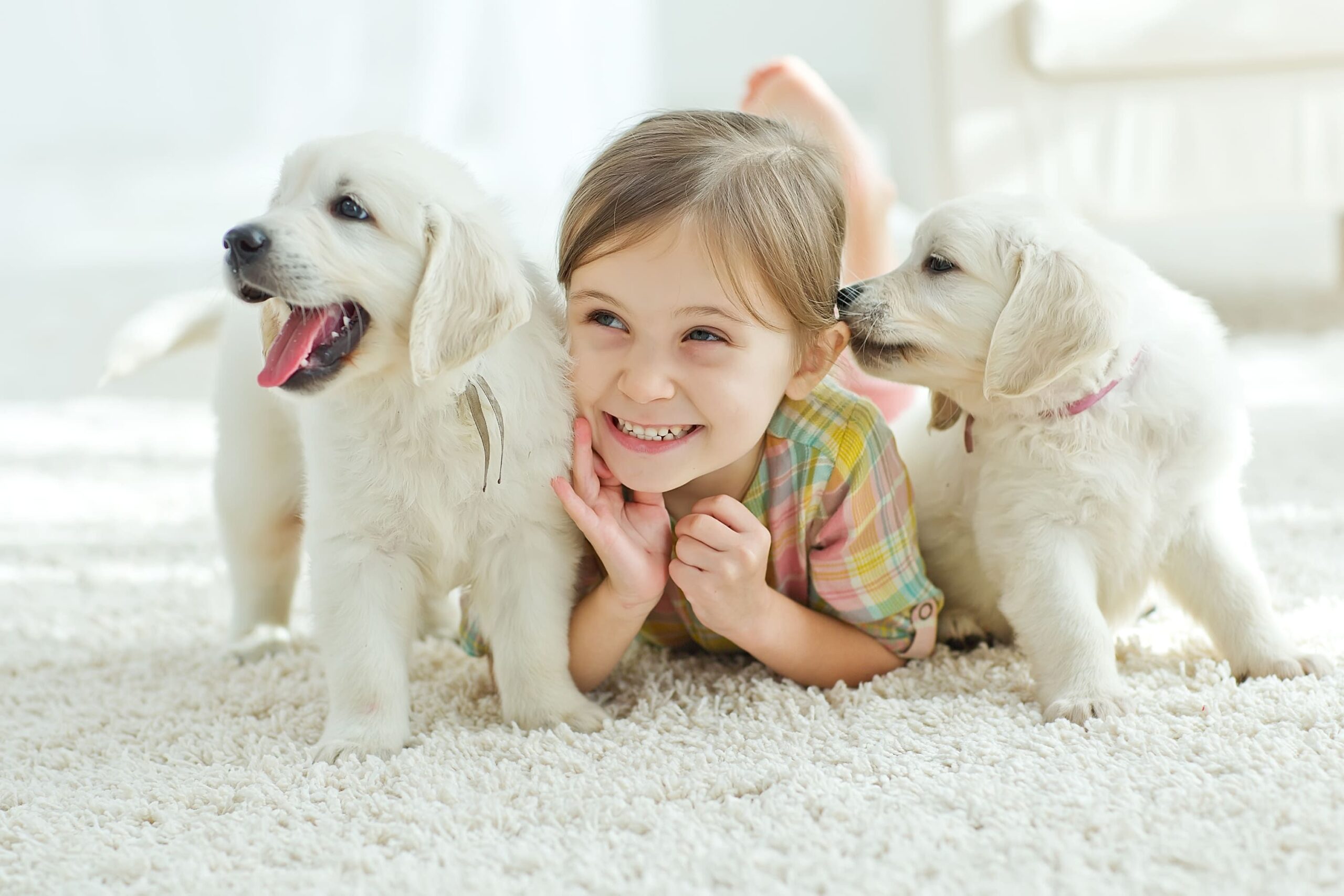 Best Pets For Kids: A Guide To Pet Selection