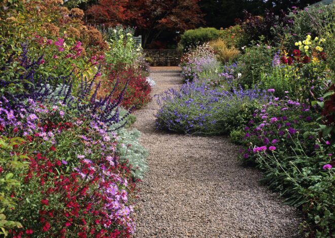 Garden Borders Design Templates