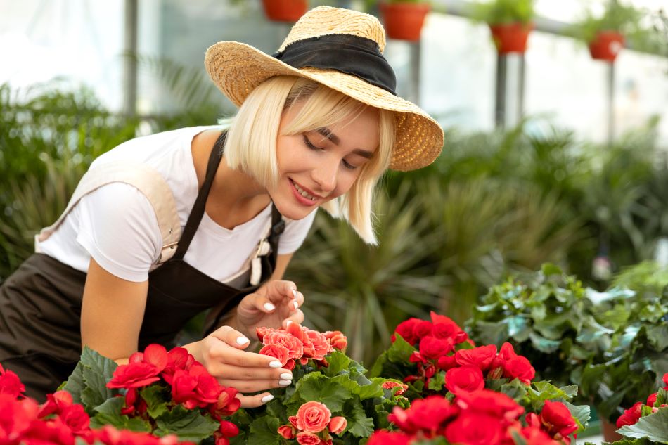 Tips for Growing a Beautiful Rose Garden