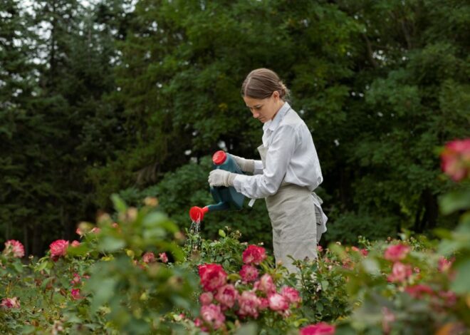 Guide to Creating a Pollinator-Friendly Garden