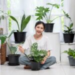 Can You Grow Your Own indoor herb gardening?