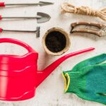 The Best Gardening Tools for Beginners