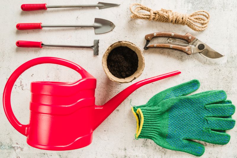 The Best Gardening Tools for Beginners