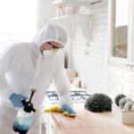 How to Get Rid of Ants in Your Kitchen: A Comprehensive Guide to Ant Control