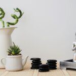 An Introduction to Feng Shui: Understanding the Basics