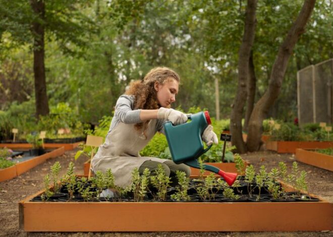 Where to Start with Gardening for Beginners: A Step-by-Step Guide