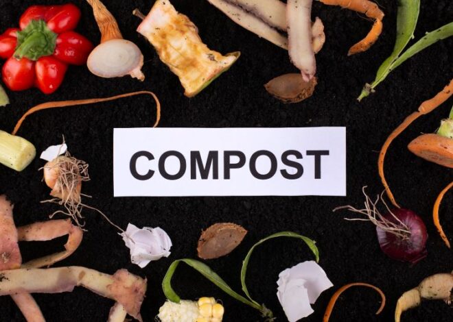A Comprehensive Composting Guide: Understanding the Process and Benefits