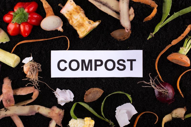 A Comprehensive Composting Guide: Understanding the Process and Benefits