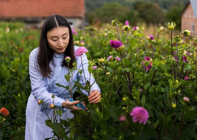 10 Tips for Growing a Stunning Wildflower Garden