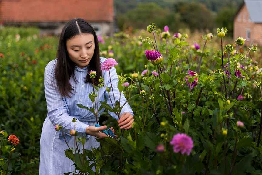 10 Tips for Growing a Stunning Wildflower Garden