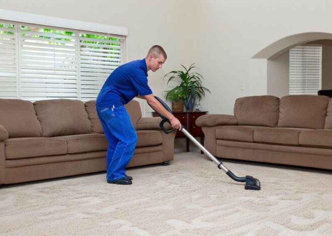 DIY vs. Professional Carpet Cleaning: How to Choose the Right Approach