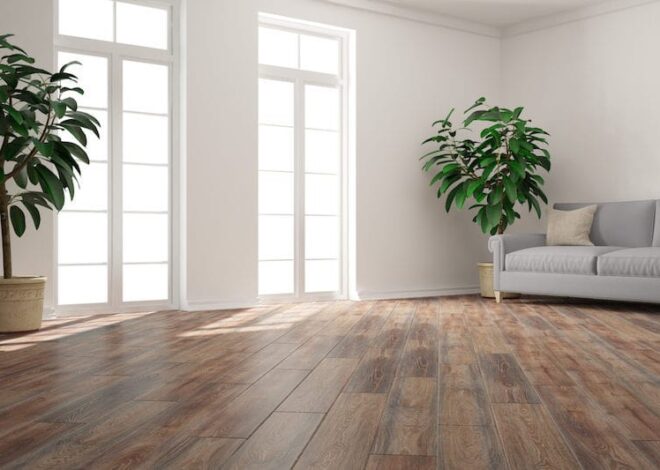 EVP Flooring: What exactly looks like it?