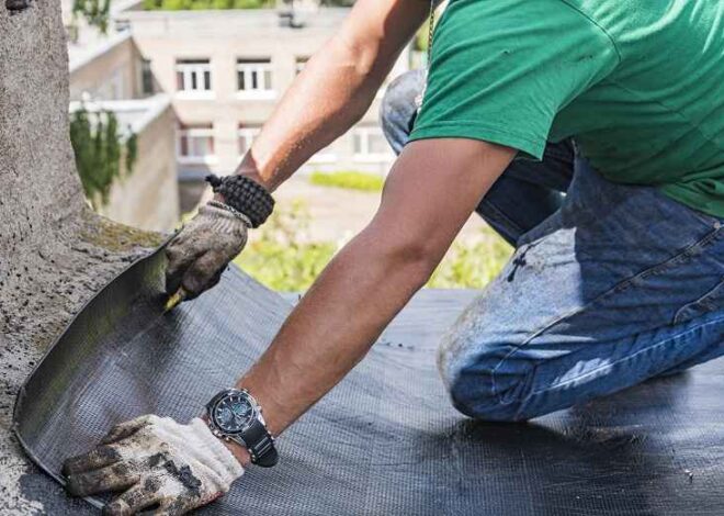 Ensuring a Healthy Home: The Importance and Benefits of Gutter Cleaning