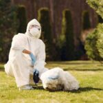 Natural vs. Chemical: Choosing the Best Flea Control Solutions for Your Pets