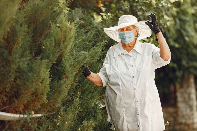 Going Green: The Top 5 Benefits of Natural Pest Control Methods