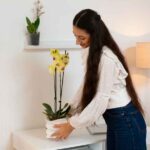 Safe Home Decorating: Creating Beautiful and Secure Spaces