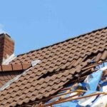 The Ultimate Guide to Preventing Roof Damage Caused by Trees