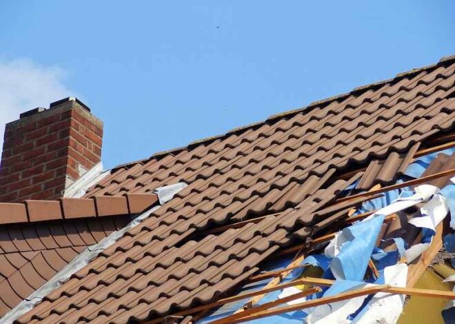 The Ultimate Guide to Preventing Roof Damage Caused by Trees