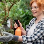 Top 10 Tips to Keep Your Garden Pest-Free All Season Long