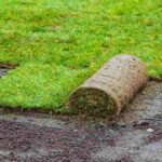 How to Lay Sod: Step-by-Step Guide for a Lush Lawn in 2025