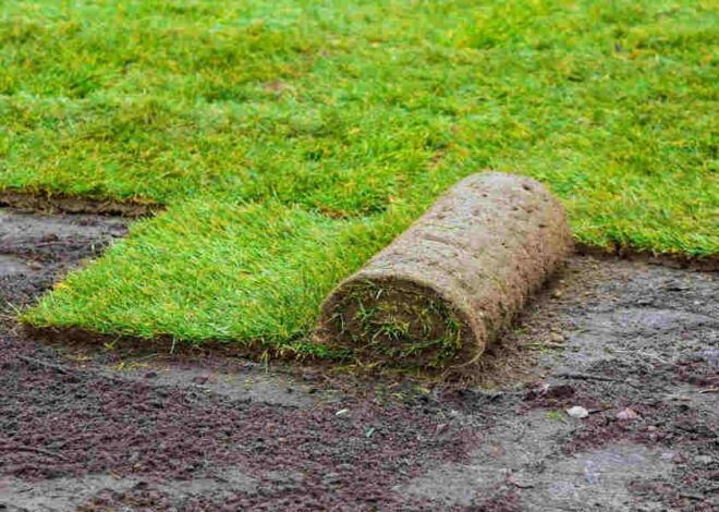 How to Lay Sod: Step-by-Step Guide for a Lush Lawn in 2025