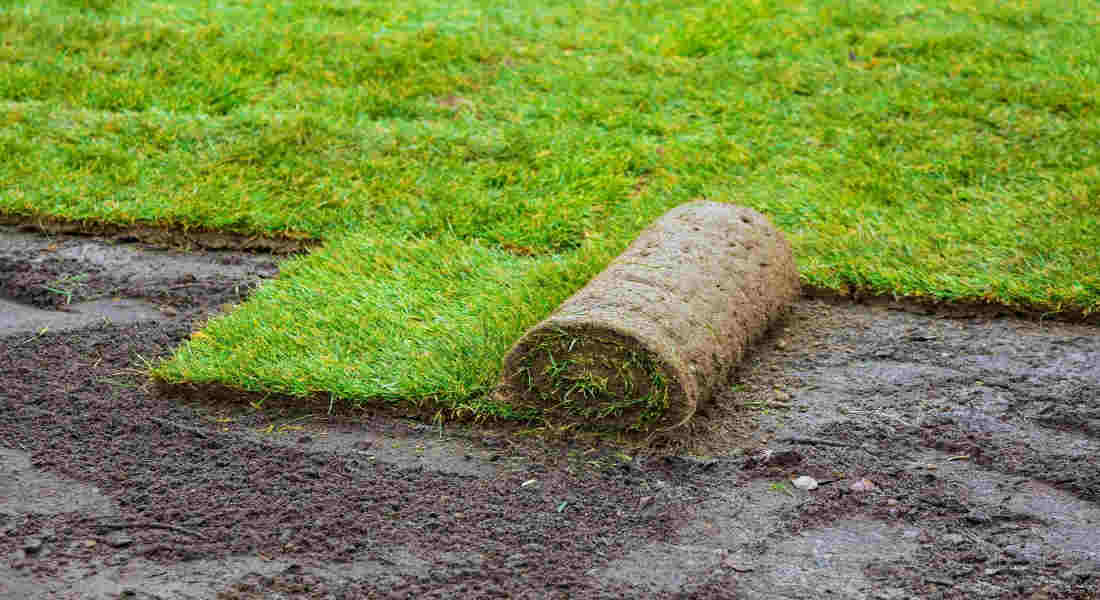How to Lay Sod: Step-by-Step Guide for a Lush Lawn in 2025