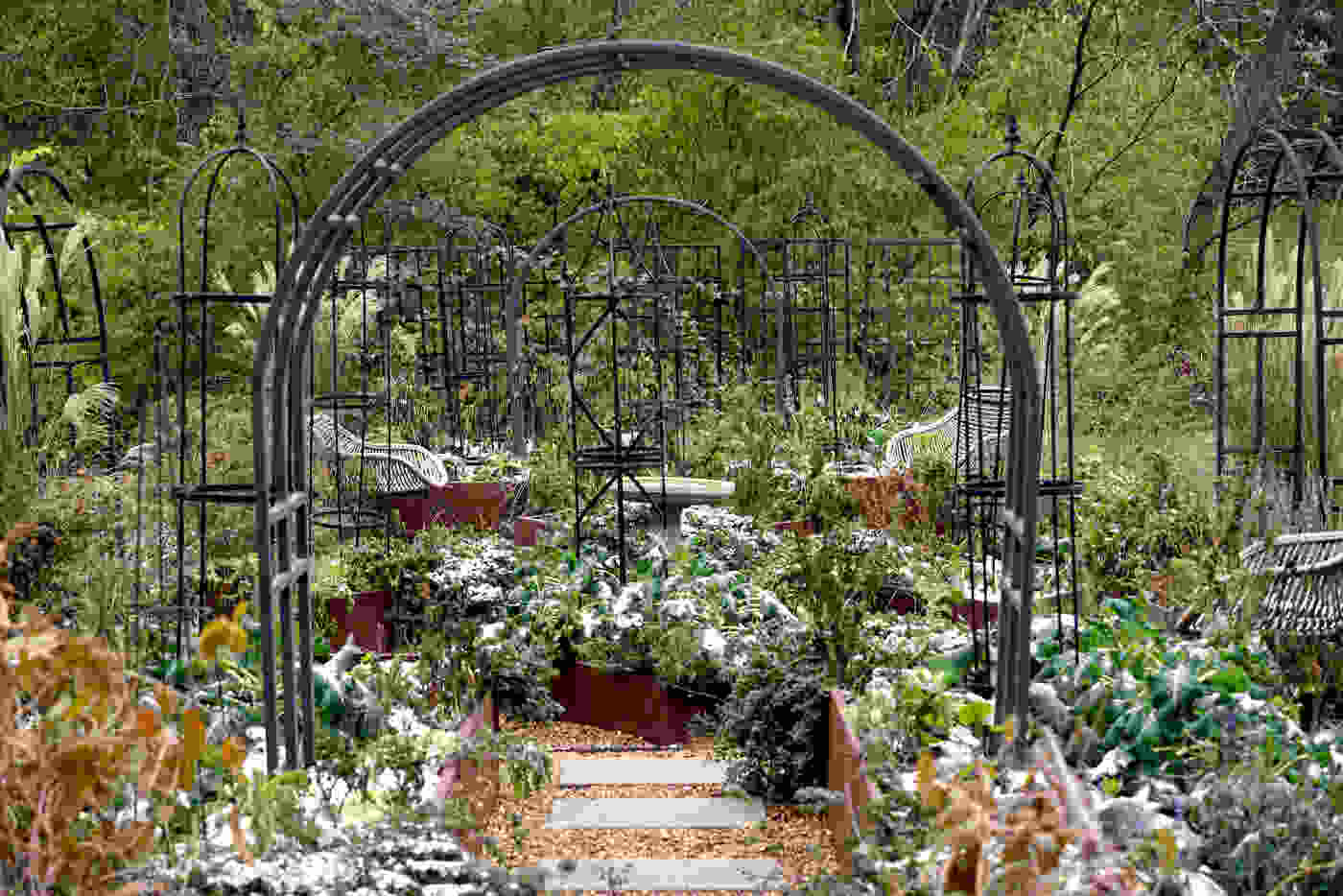 What are the latest trends in garden arbors for 2025