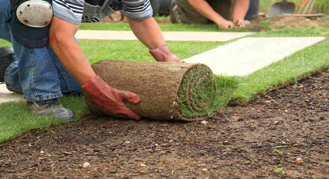 how to lay sod