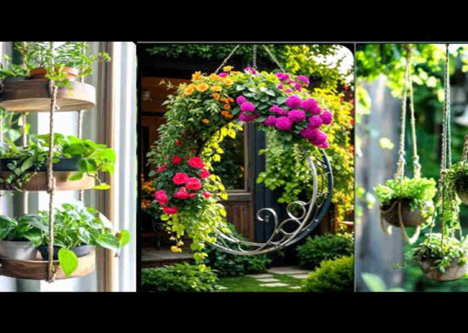 10 Stunning Hanging Plant Ideas to Transform Your Indoor Space in 2025