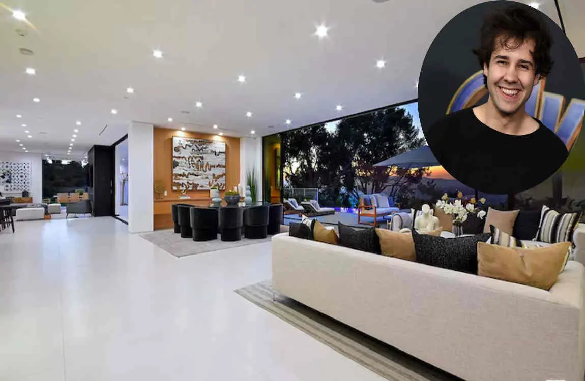 david dobrik new house