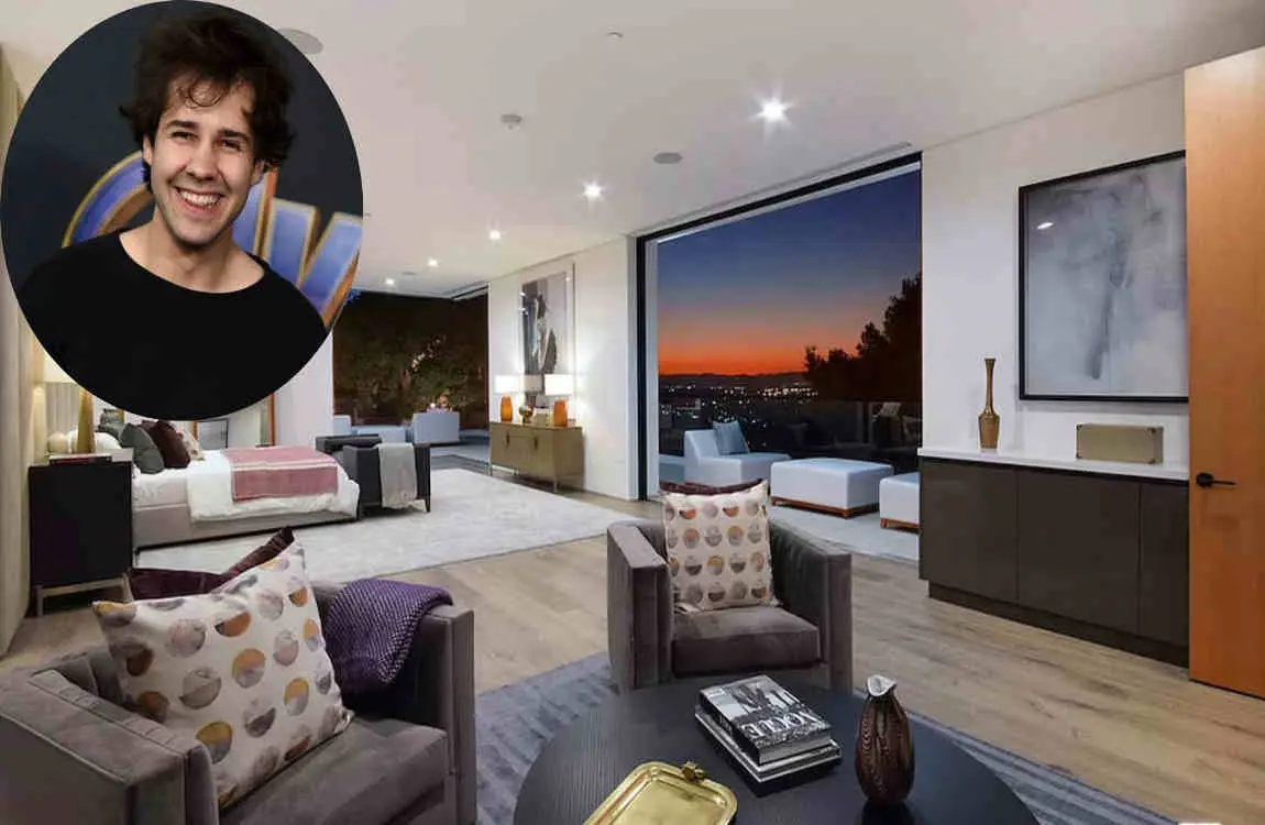 david dobrik new house